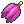 カシブのみ