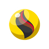 ライチュウナイトＸ